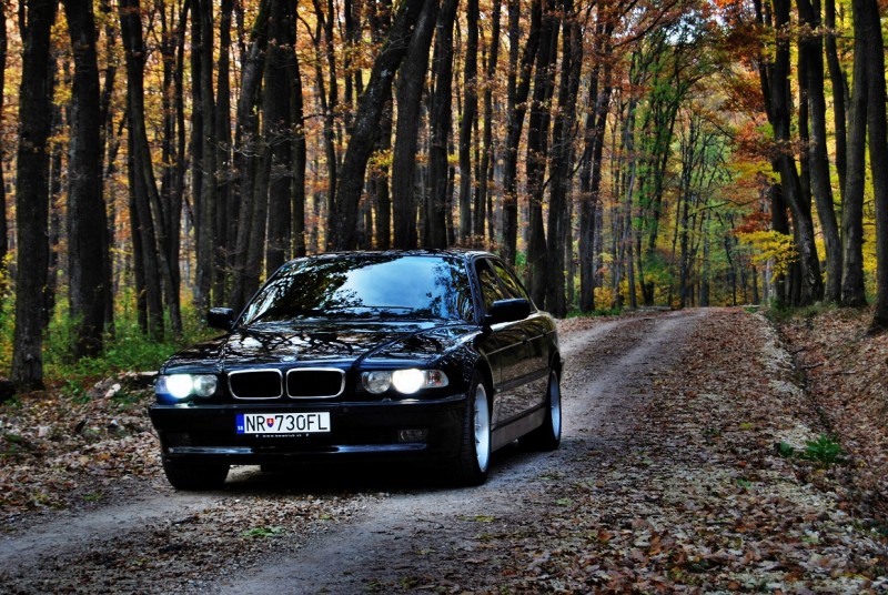 DSC_0111_male.jpg