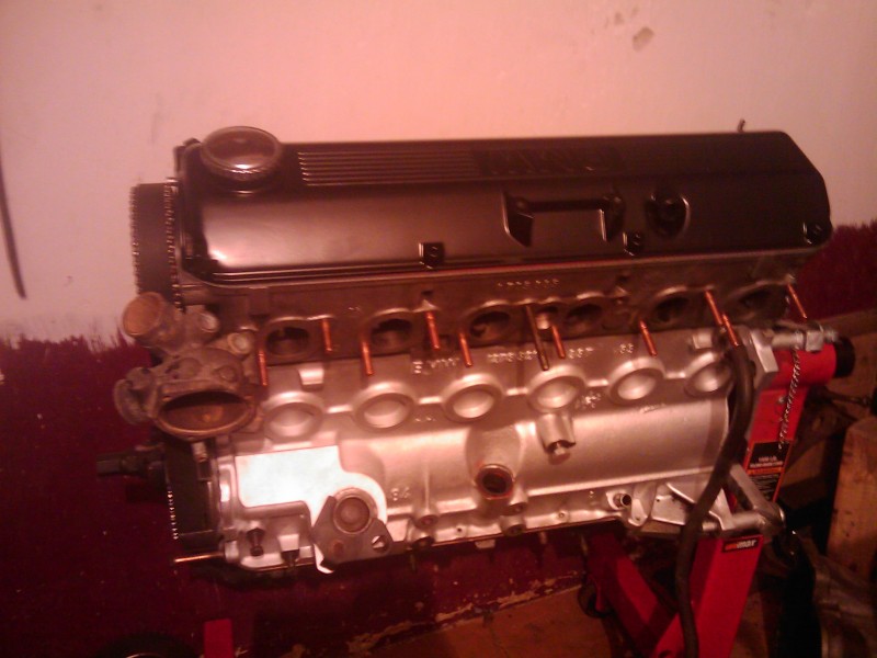 IMAG0012.jpg
