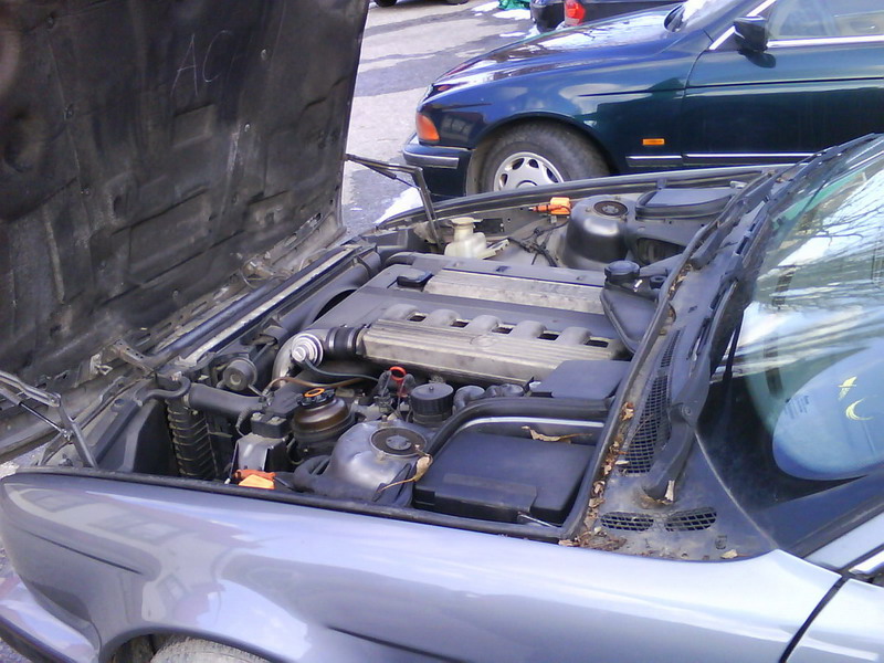 729576_8.JPG