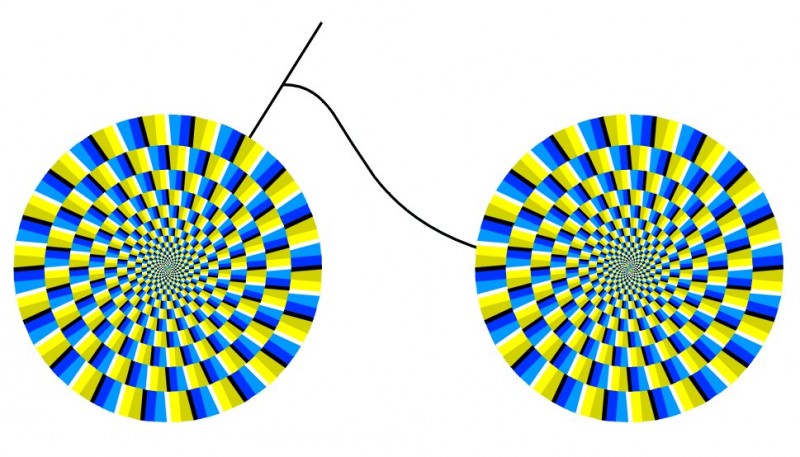 339594_304668069546997_112896248724181_1358635_1140827866_o.jpg