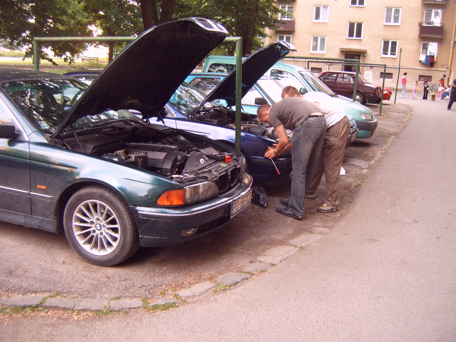 S4302834.JPG