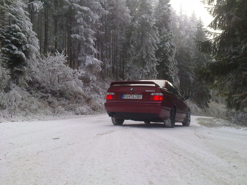 Foto5.jpg