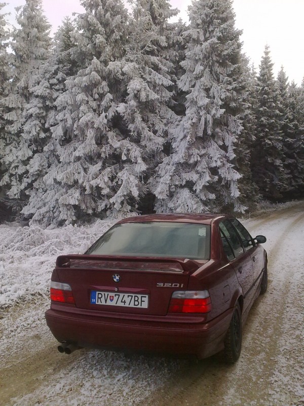 Foto3.jpg