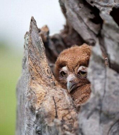 This_is_how_I_look_on_Mondays.jpg