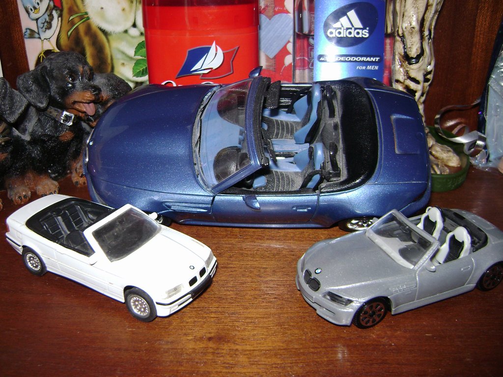 DSC01526.JPG