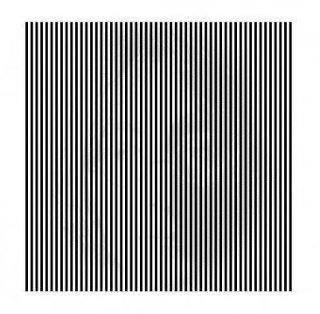 379021_10150630995744478_325792854477_11961779_716788866_n.jpg