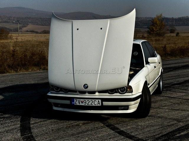 2898743_14.jpg