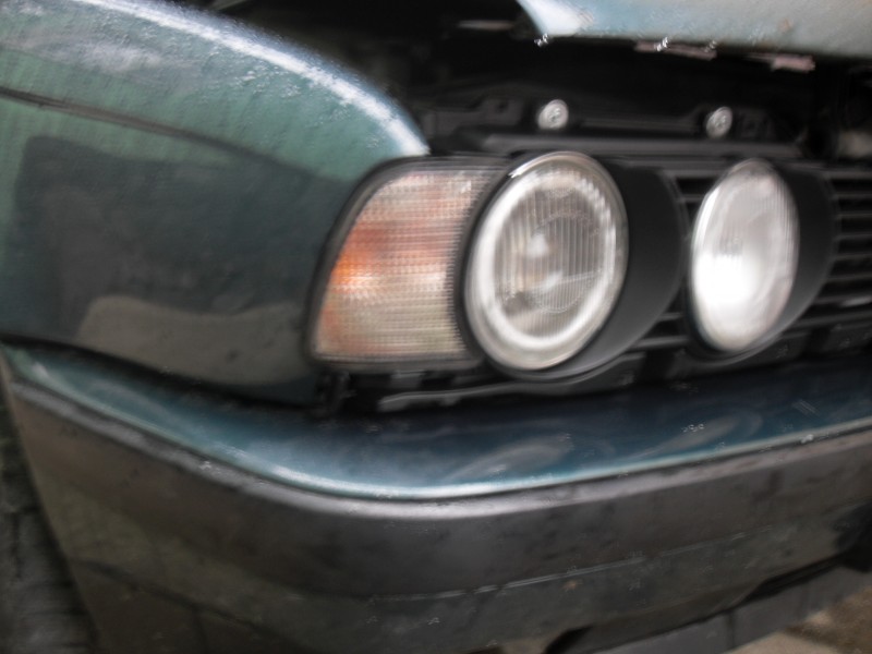 SDC11074.JPG