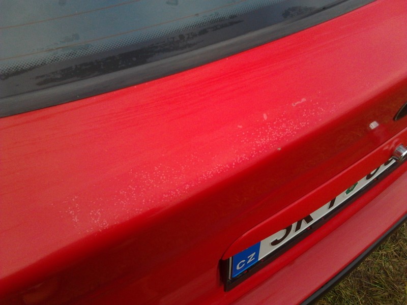2011-12-29 14.05.29.jpg