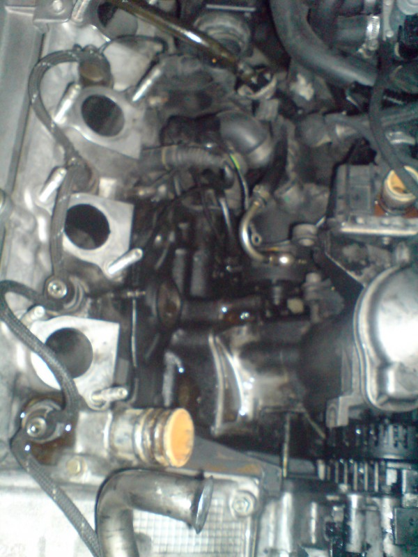 DSC00695.JPG