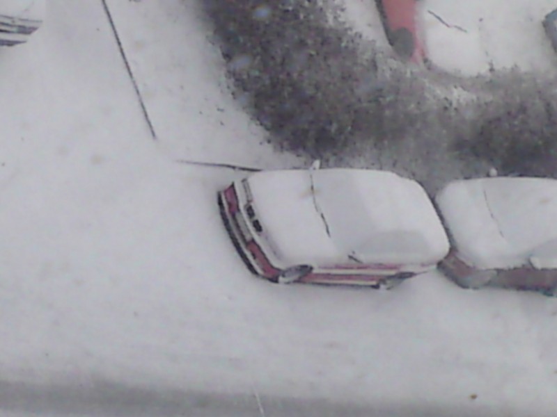 DSC02700.JPG