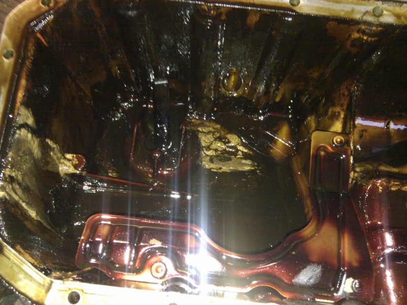 IMG_20120119_152624.jpg