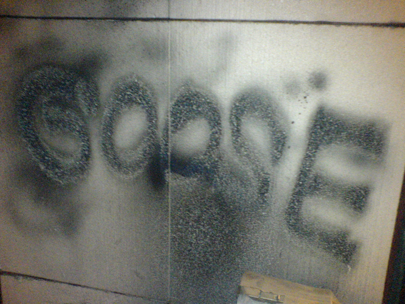 DSC09986.JPG