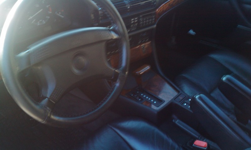 IMAG0131.jpg