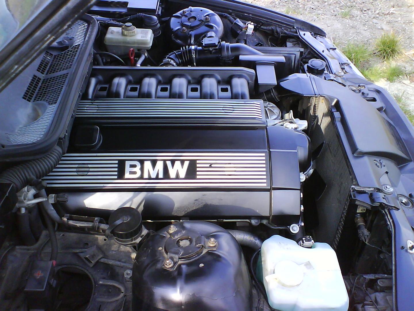 DSC00092.JPG