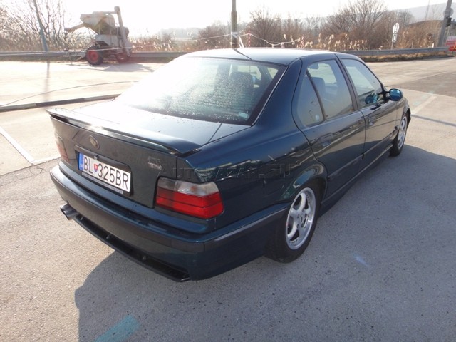 3092517_5.jpg