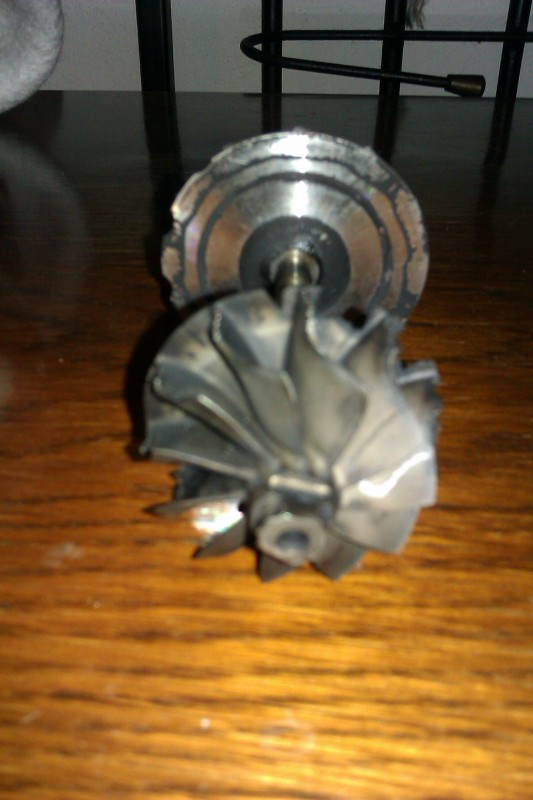 IMAG0604.jpg