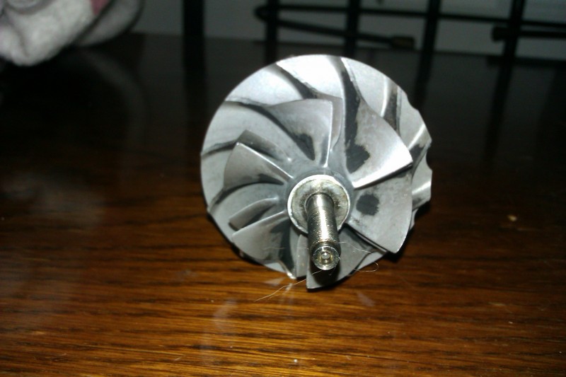 IMAG0612.jpg