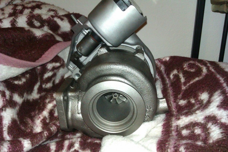 IMAG0613.jpg