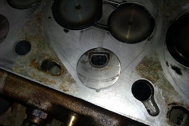 IMAG0273.jpg