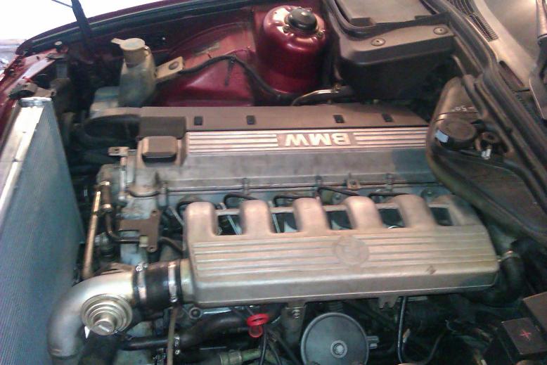 IMAG0263.jpg