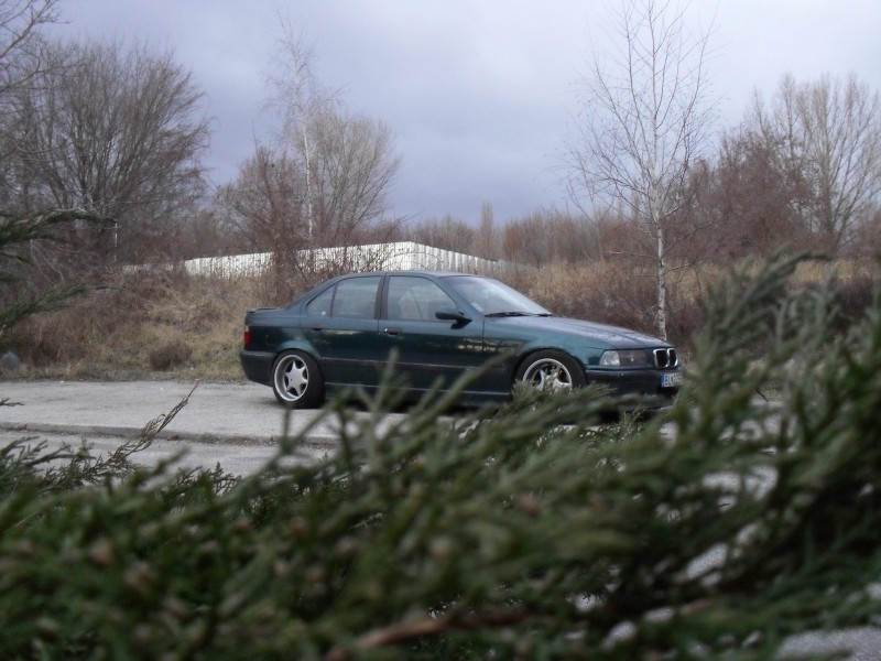SDC10048.JPG