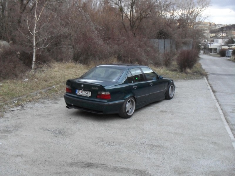 SDC10044.JPG