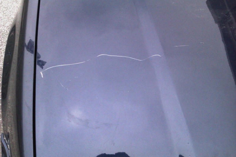 IMAG0237.jpg
