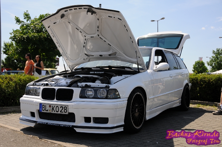 bachus_165.jpg