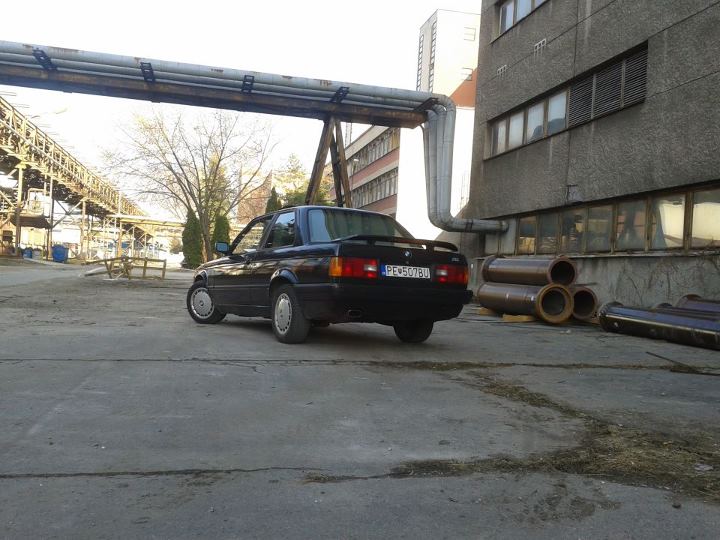 e303.jpg