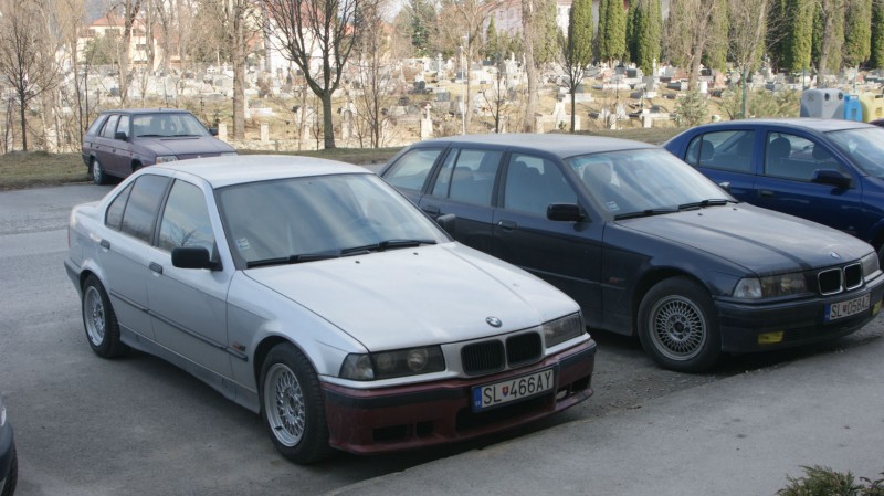 TDSC05825.jpg