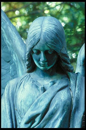 angel1.jpg