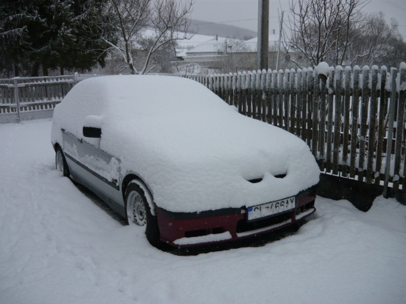 l6.JPG