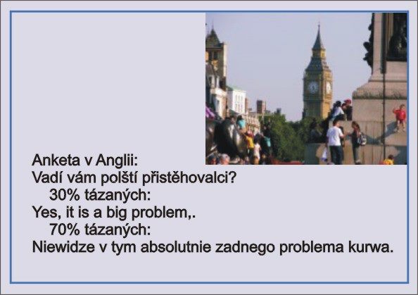 pic1.jpg