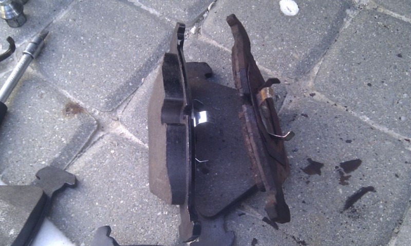 IMAG0553.jpg
