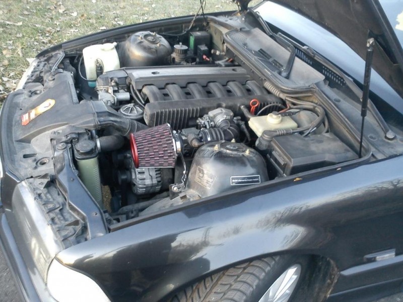 2919859_7.jpg