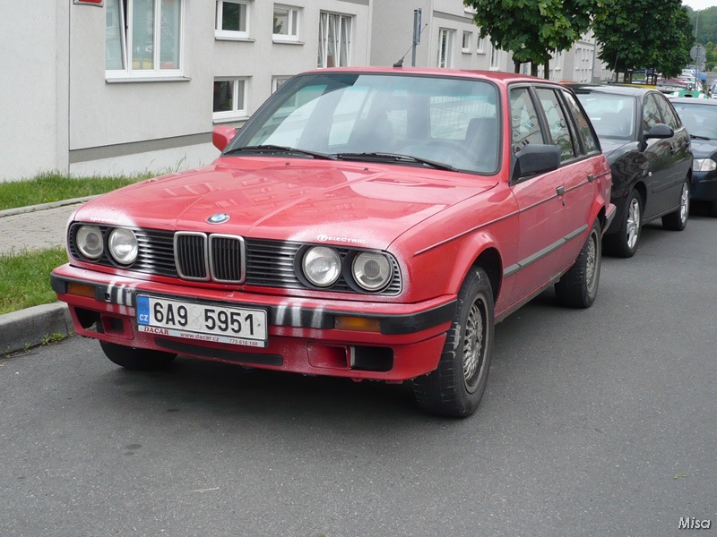 P1000935.jpg