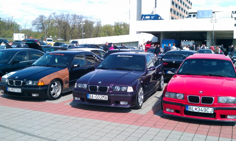 IMAG0174.jpg