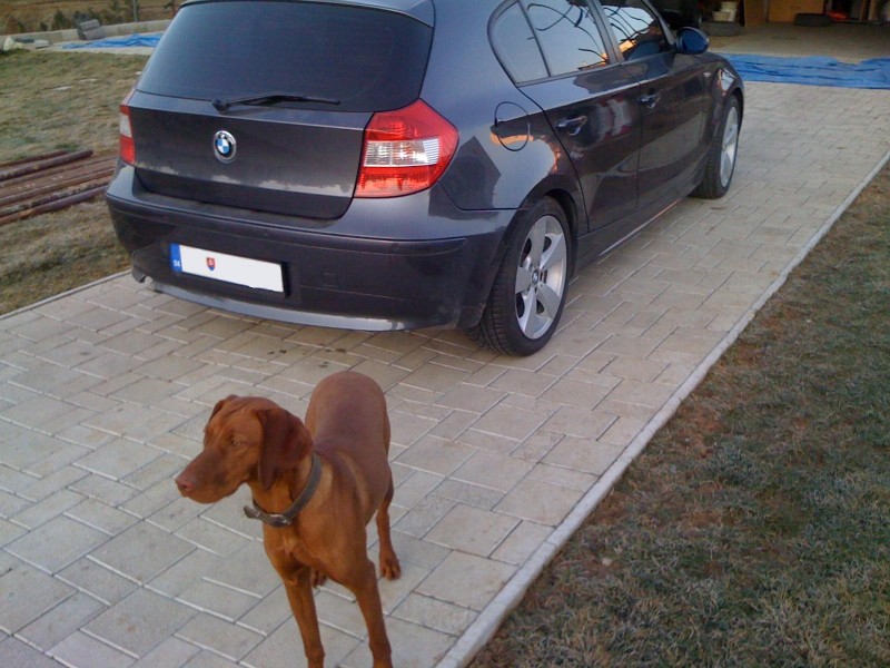 bmw 005.jpg