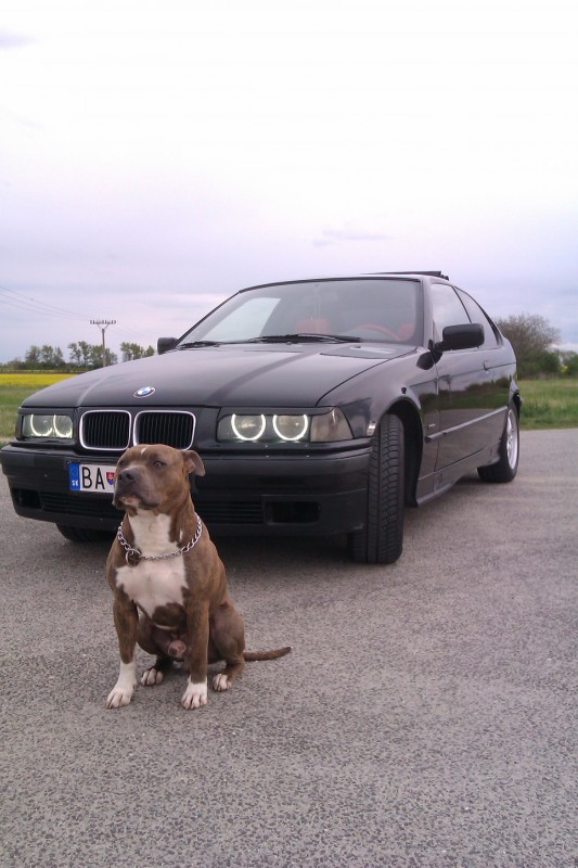 IMAG0418.jpg