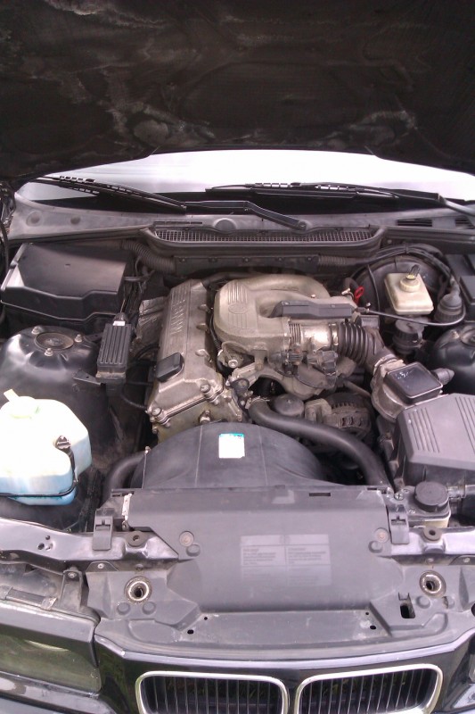 IMAG0420.jpg