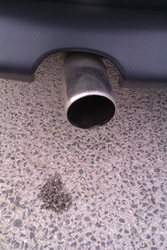 IMAG0419.jpg