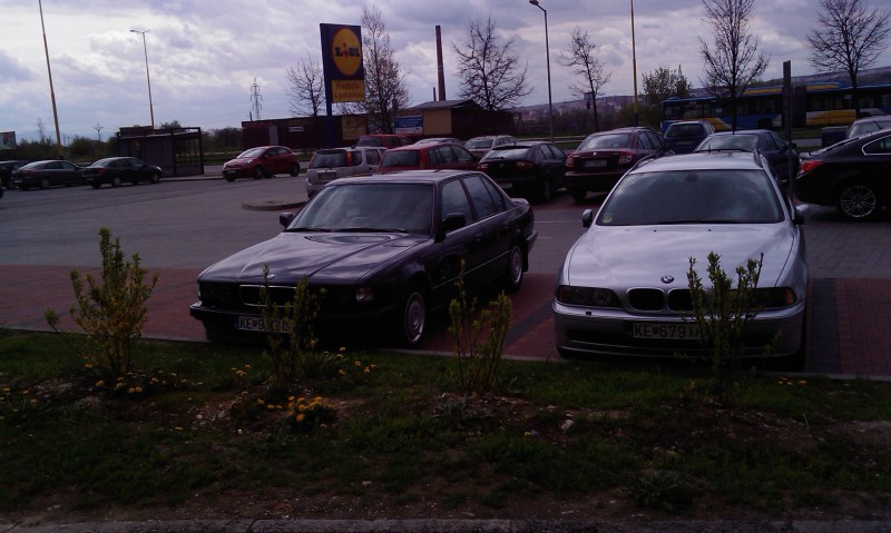 IMAG0186.jpg