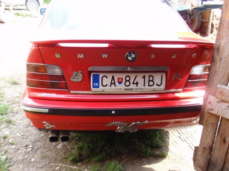 3329877_7.jpg