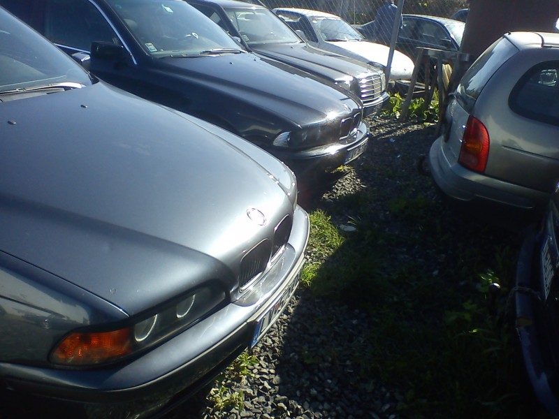 DSC00113.jpg