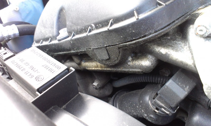 IMAG0013.jpg
