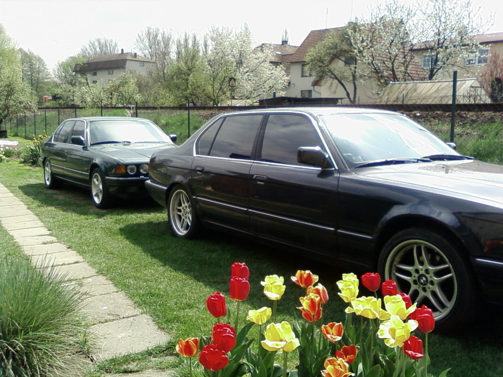 SP_A2416.jpg