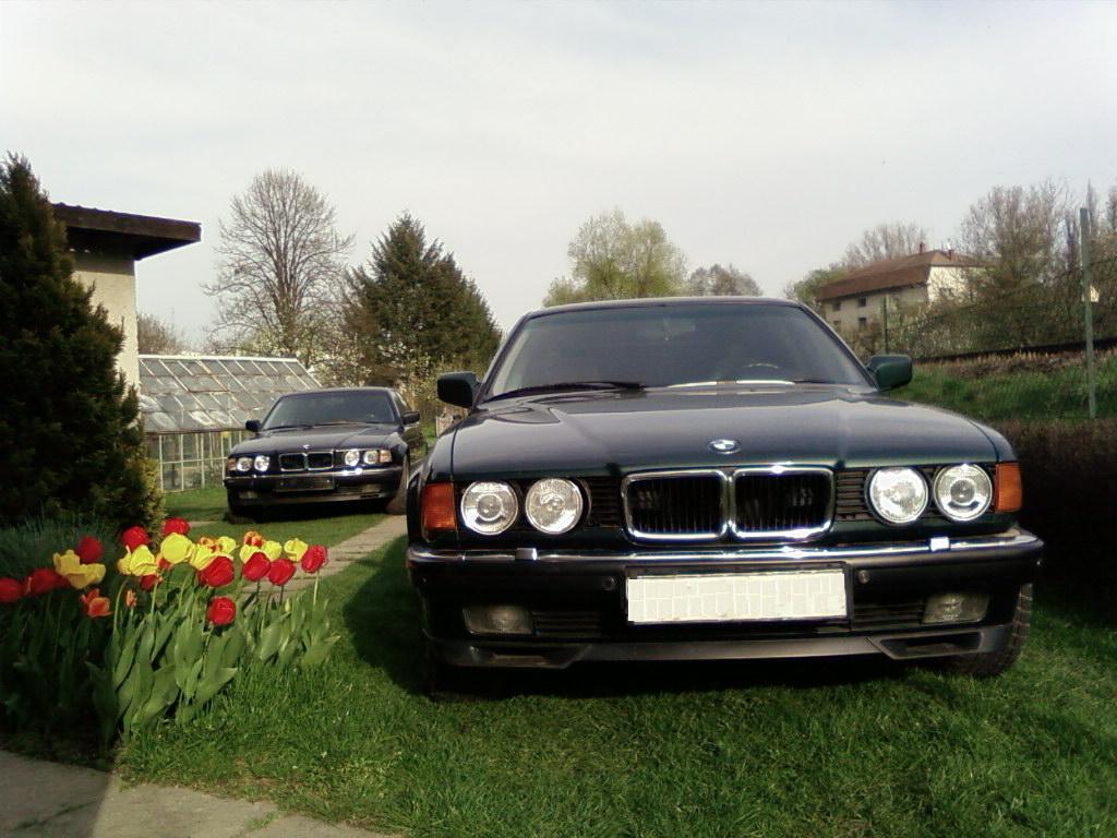 SP_A2387.jpg