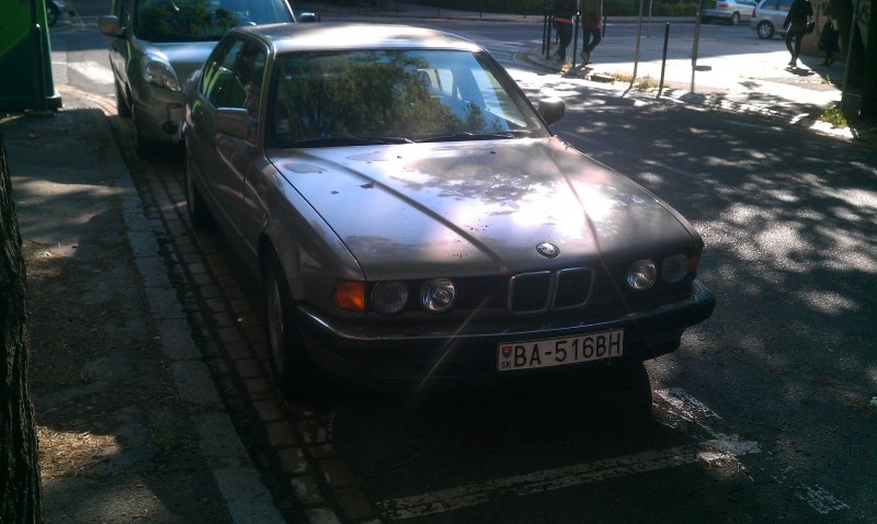 IMAG0306.jpg