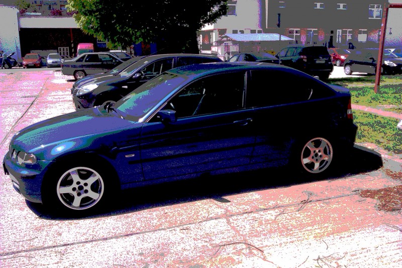 IMAG0124.jpg